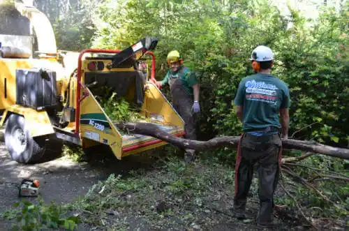 tree services Riverside